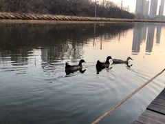 -前关湿地公园