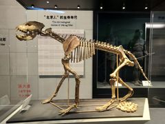 -北京周口店北京人遗址博物馆