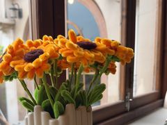 -IFIF 如果花園(宽厚里店)