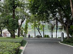 -金花茶公园