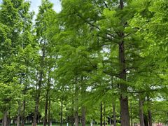 -浙江大学(海宁国际校区)