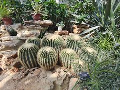 -国家植物园南园