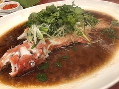 -西苑酒家(太古城店)