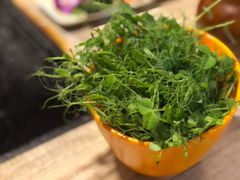 -哈吱喂丽江火塘·牦牛火锅(五一街店)