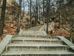 -崂山巨峰游览区