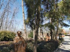 -合肥滨湖国家森林公园