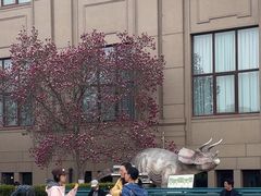 -国家自然博物馆