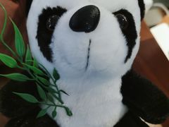 -成都宽窄巷子西美居酒店