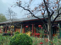 -白家大院·王府宫廷菜(苏州街店)