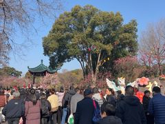 -无锡梅园公园