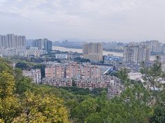 -福道