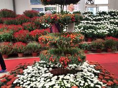 -祥源·阜阳生态乐园