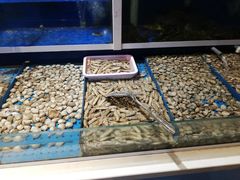 水产区-潍城老菜馆·地标美食