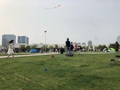 -栖露营camping·天幕烧烤·团建拓展·采摘营地
