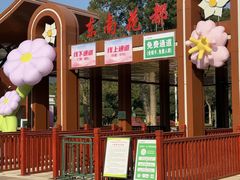 -东南花都花博园