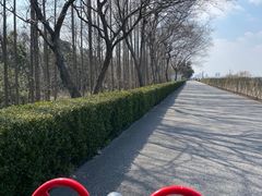 -上海滨江森林公园