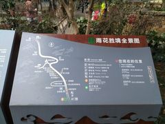 -雨花胜境
