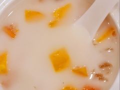 -鸿达渔港