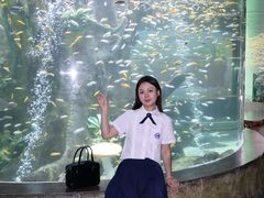 -合肥海洋世界
