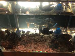 -璞御·海鲜·雪花牛肉局(宾水西道店)