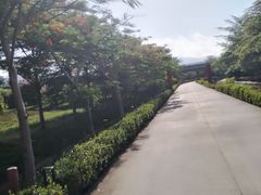 -亚龙湾国际玫瑰谷