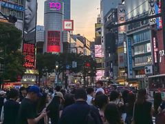 -涩谷全向十字路口
