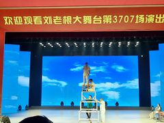 -刘老根大舞台-长春旗舰店