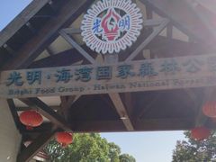 -上海海湾国家森林公园