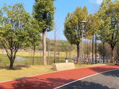 -牛岗山公园