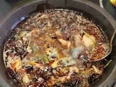 -秦巴石锅鱼(文化南路店)