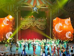 -珠海横琴长隆《卡卡虎奇遇记》