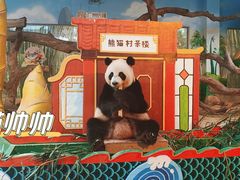 -广州长隆野生动物世界