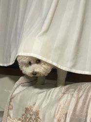 -优刻西服西装定制(金轮国际广场店)