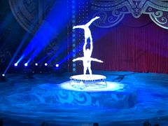 -珠海横琴长隆《卡卡虎奇遇记》