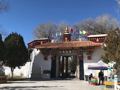 -罗布林卡