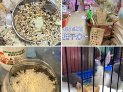 -双季花艺园艺市场(浦东店)