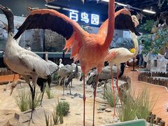 -昆明动物博物馆