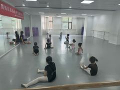 -西安小天鹅艺术团(金花路校区)