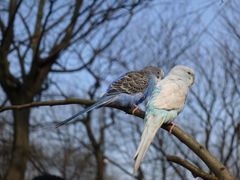 -洋湖国家湿地公园