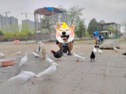 -上美四季动物农场