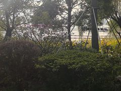 -金鸡湖桃花岛