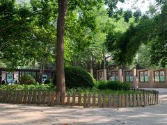 -莲花池公园