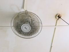 -老周记顺德双皮奶