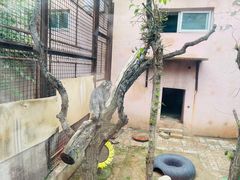 -青藏高原野生动物园