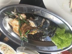 -真浪大家乐海鲜餐馆