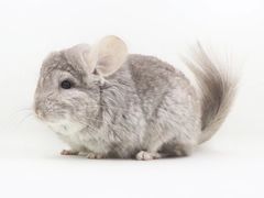 -龙猫仔乐园(惠福东路店)