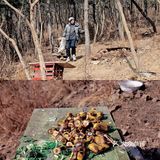 冬季大连|"林深时见鹿"在白云山真可以实现！