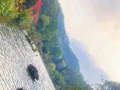 -深圳仙湖植物园