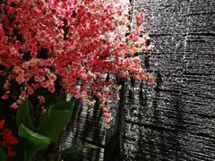 -富侨养生(康乾店)