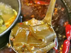 武胜宽苕粉-重庆渝达老火锅(春熙路店)